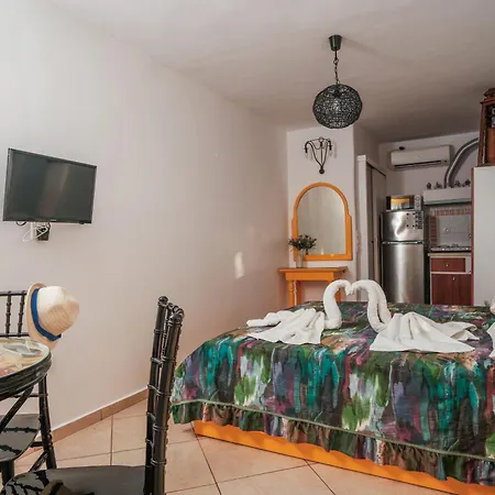 Apartment Irini Studios *